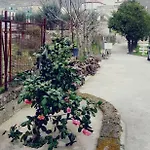 Apartamento Dependance Terramia *