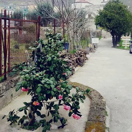 Apartament Dependance Terramia *